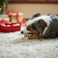 Frisco Holiday Wreath Fetch Squeaky Tennis Ball Dog Toy -Cat Dog Supply Store 233189 PT3. AC SS1800 V1665759769