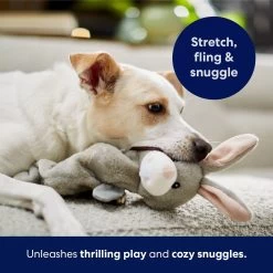 Frisco Bunny Bungee Plush Squeaky Dog Toy -Cat Dog Supply Store 233612 PT5. AC SS1800 V1691783971