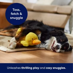 Frisco Duck Plush Squeaky Dog Toy -Cat Dog Supply Store 233613 PT4. AC SS1800 V1695670688