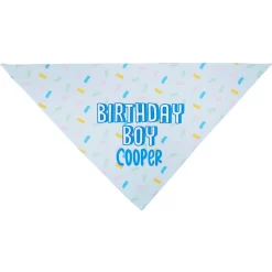 Frisco Birthday Boy Personalized Dog & Cat Bandana -Cat Dog Supply Store 238329 PT3. AC SS1800 V1618511828