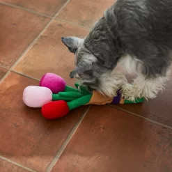 Frisco Valentine Rose Bouquet Plush Squeaky Dog Toy -Cat Dog Supply Store 241733 PT6. AC SS1800 V1607990908