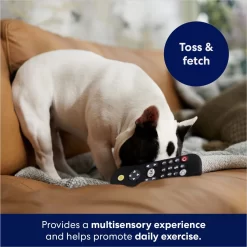 Frisco Zoomies & Chill Remote Latex Squeaky Dog Toy -Cat Dog Supply Store 241753 PT6. AC SS1800 V1686580150