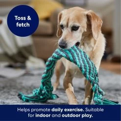 Frisco Flat Teal & Gray Braided Rope Squeaky Fetch Dog Toy -Cat Dog Supply Store 242127 PT3. AC SS1800 V1695242179