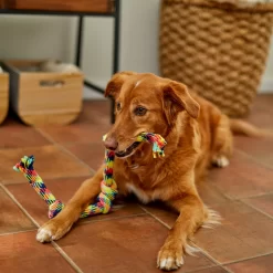 Frisco 4-Knot Tri-Color Rope Dog Toy -Cat Dog Supply Store 242139 PT2. AC SS1800 V1605208764