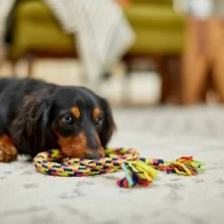 Frisco Pretzel Rope Dog Toy -Cat Dog Supply Store 242141 PT2. AC SS1800 V1605208795