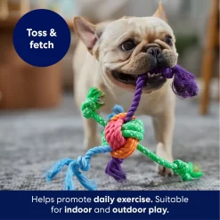 Frisco Fetch Colorful Ball Knot Rope Dog Toy -Cat Dog Supply Store 242159 PT3. AC SS1800 V1695242179