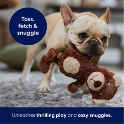 Frisco Bear Plush Squeaky Dog Toy -Cat Dog Supply Store 245924 PT4. AC SS1800 V1695760929