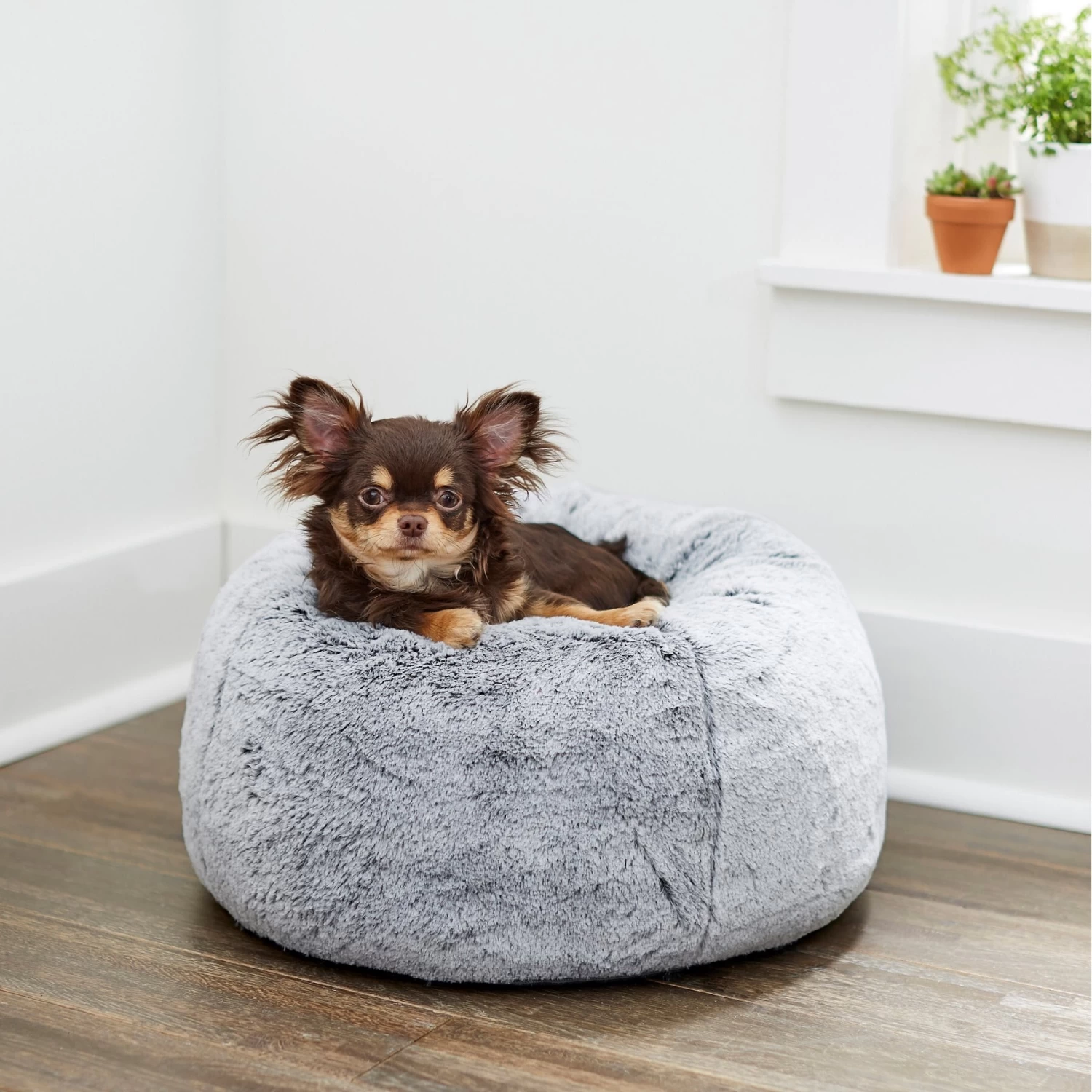 Frisco Plush Pouf Pillow Cat & Dog Bed 1 Frisco Plush Pouf Pillow Cat & Dog Bed