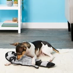 Frisco Alligator Stuffing-Free Flat Plush Squeaky Dog Toy & Frisco Raccoon Stuffing-Free Flat Plush Squeaky Dog Toy -Cat Dog Supply Store 255471 PT4. AC SS1800 V1602691287