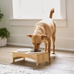 Frisco Ceramic Dog & Cat Double Diner With Elevated Wood Stand -Cat Dog Supply Store 256052 PT2. AC SS1800 V1615311142