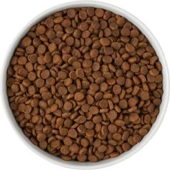 Frisco Paw Prints Non-skid Ceramic Bowl 11 Frisco Paw Prints Non-skid Ceramic Bowl -Cat Dog Supply Store 256072 PT5. AC SS1800 V1615312318