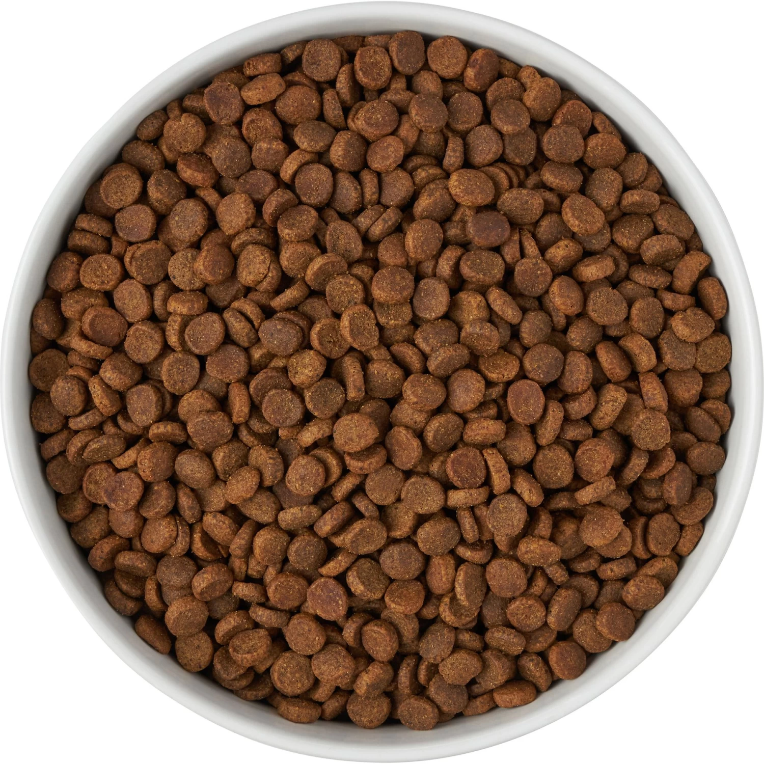 Frisco Paw Prints Non-skid Ceramic Bowl 6 Frisco Paw Prints Non-skid Ceramic Bowl - Image 6