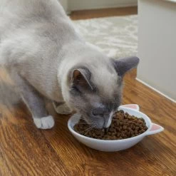 Frisco Cat Face Non-skid Ceramic Cat Dish -Cat Dog Supply Store 256105 PT2. AC SS1800 V1615310882