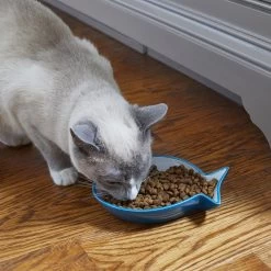 Frisco Fish Shaped Non-skid Ceramic Cat Dish -Cat Dog Supply Store 256109 PT3. AC SS1800 V1617196297