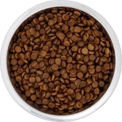 Frisco Black Iron Non-Skid Stainless Steel Dog & Cat Bowl -Cat Dog Supply Store 257152 PT4. AC SS1800 V1615311427