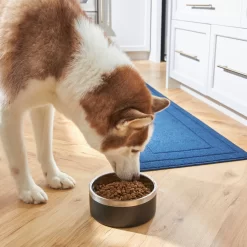 Frisco Insulated Two-Toned Non-Skid Stainless Steel Dog & Cat Bowl -Cat Dog Supply Store 257168 PT8. AC SS1800 V1615840126