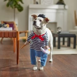 Frisco Front Walking French Artist Dog & Cat Costume -Cat Dog Supply Store 260956 PT8. AC SS1800 V1689623916