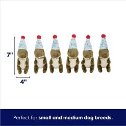 Frisco Birthday Volcano & Dinosaurs Hide & Seek Puzzle Plush Squeaky Dog Toy 9 Frisco Birthday Volcano & Dinosaurs Hide & Seek Puzzle Plush Squeaky Dog Toy -Cat Dog Supply Store 264424 PT2. AC SS1800 V1695761147