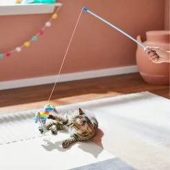 Frisco Pinata Teaser Wand Cat Toy With Catnip -Cat Dog Supply Store 264446 PT3. AC SS1800 V1618948636