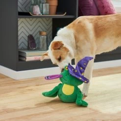 Frisco Magic Wizard Frog Plush Squeaky Dog Toy 5 Frisco Magic Wizard Frog Plush Squeaky Dog Toy -Cat Dog Supply Store 265588 PT3. AC SS1800 V1620939075