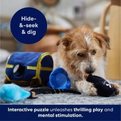 Frisco Magic Chest Hide & Seek Puzzle Plush Squeaky Dog Toy 12 Frisco Magic Chest Hide & Seek Puzzle Plush Squeaky Dog Toy -Cat Dog Supply Store 265614 PT5. AC SS1800 V1695760957