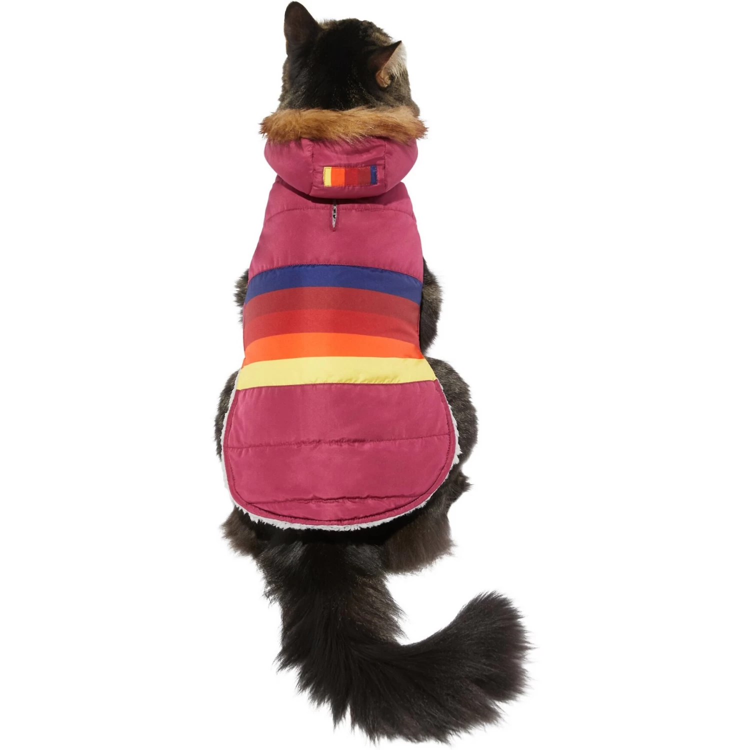 Frisco Mediumweight Colorblock Adventure Insulated Dog & Cat Parka 3 Frisco Mediumweight Colorblock Adventure Insulated Dog & Cat Parka - Image 3