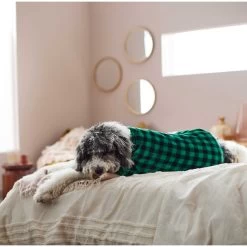 Frisco Dog & Cat Cozy Plush Fleece PJs, Green Plaid -Cat Dog Supply Store 268517 PT5. AC SS1800 V1637644798