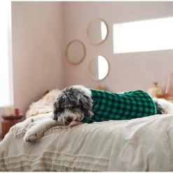 Frisco Dog & Cat Cozy Plush Fleece PJs, Green Plaid -Cat Dog Supply Store 268517 PT8. AC SS1800 V1629755447