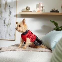 Frisco Chenille Knit Striped Dog & Cat Dress -Cat Dog Supply Store 268668 PT8. AC SS1800 V1629762896