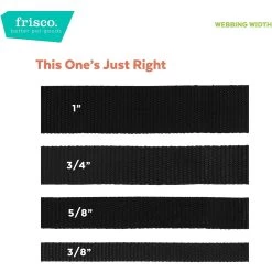 Frisco Midnight Floral Cat Collar -Cat Dog Supply Store 269490 PT6. AC SS1800 V1629992485