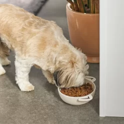 Frisco Dog Face Non-skid Ceramic Cat & Dog Bowl -Cat Dog Supply Store 270226 PT2. AC SS1800 V1620762156