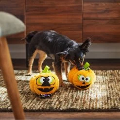 Frisco Halloween Nerdy Jack-o-Lanterns Plush Squeaky Dog Toy -Cat Dog Supply Store 270431 PT3. AC SS1800 V1624817796