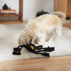 Frisco Halloween Spider Rope Dog Toy -Cat Dog Supply Store 270504 PT3. AC SS1800 V1624825021
