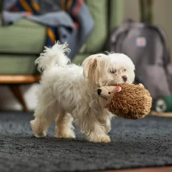 Frisco Camping Hedgehog Plush Squeaky Dog Toy -Cat Dog Supply Store 270995 PT3. AC SS1800 V1625009251