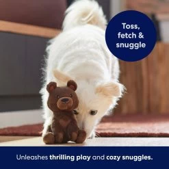 Frisco Camping Bear Plush Squeaky Dog Toy -Cat Dog Supply Store 270999 PT5. AC SS1800 V1691785245