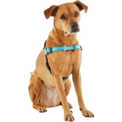 Frisco Padded Reflective No Pull Harness -Cat Dog Supply Store 277892 PT3. AC SS1800 V1629758833
