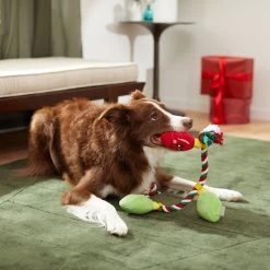 Frisco Holiday Lights Plush With Rope Squeaky Dog Toy -Cat Dog Supply Store 287109 PT3. AC SS1800 V1632775707