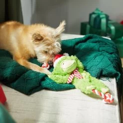 Frisco Holiday Monkey Plush With Rope Squeaky Dog Toy -Cat Dog Supply Store 287115 PT3. AC SS1800 V1632774182