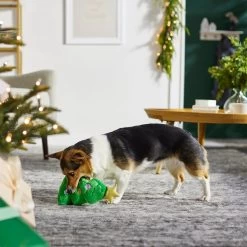 Frisco Holiday Tree Thin Plush Squeaky Dog Toy -Cat Dog Supply Store 287167 PT3. AC SS1800 V1632773873