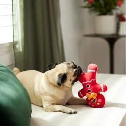 Frisco Holiday Naughty Or Nice Gingerbread Man Reversible Plush Squeaky Dog Toy -Cat Dog Supply Store 287217 PT3. AC SS1800 V1632775304