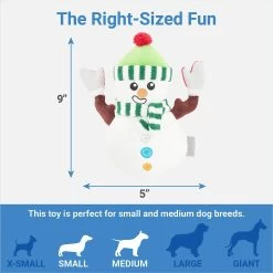 Frisco Holiday Naughty Or Nice Snowman Reversible Plush Squeaky Dog Toy -Cat Dog Supply Store 287219 PT2. AC SS1800 V1637704003