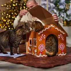 Frisco Holiday Gingerbread House Cardboard Cat House Cat Toy -Cat Dog Supply Store 287289 PT3. AC SS1800 V1695046487