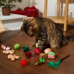 Frisco Holiday Festive Red Variety Pack Gift Box Cat Toy With Catnip, 14 Count 8 Frisco Holiday Festive Red Variety Pack Gift Box Cat Toy With Catnip, 14 Count -Cat Dog Supply Store 287305 PT3. AC SS1800 V1632773836