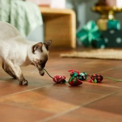 Frisco Holiday Mice Cat Toy With Catnip, 5 Count -Cat Dog Supply Store 287307 PT3. AC SS1800 V1632773326