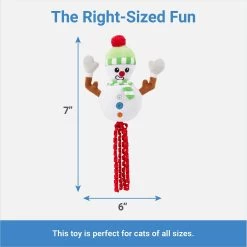 Frisco Naughty Or Nice Snowman Reversible Plush Cat Toy With Catnip -Cat Dog Supply Store 287387 PT2. AC SS1800 V1637704002