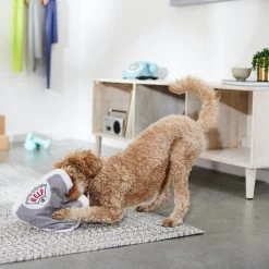 Frisco Scale Plush Squeaky Dog Toy -Cat Dog Supply Store 288911 PT3. AC SS1800 V1638289585