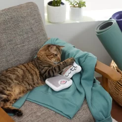 Frisco Scale & Message Bubble Plush Cat Toy With Catnip, 2 Count -Cat Dog Supply Store 288959 PT3. AC SS1800 V1638288401