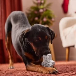 Frisco Holiday Nylon Snowflake Dog Chew Toy, Peanut Butter Flavor, Medium 7 Frisco Holiday Nylon Snowflake Dog Chew Toy, Peanut Butter Flavor, Medium -Cat Dog Supply Store 291387 PT3. AC SS1800 V1629306692