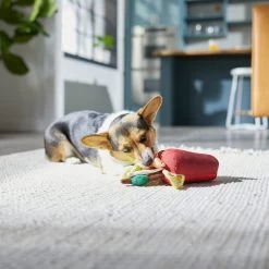 Frisco Brunch Bloody Mary Plush Squeaky Dog Toy -Cat Dog Supply Store 297228 PT2. AC SS1800 V1642088343