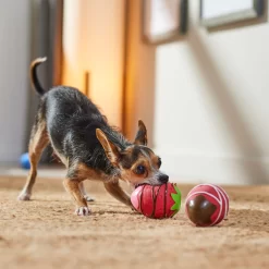 Frisco Valentine Chocolate Covered Strawberries Latex Squeaky Dog Toy -Cat Dog Supply Store 298923 PT3. AC SS1800 V1701365172